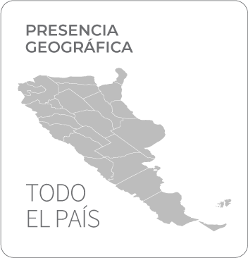 Presencia geográfica en todo el país