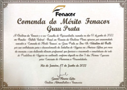 Diploma recibido con la Mención al Mérito en el Grado de Plata.