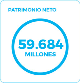 Patrimonio neto: $59.684 millones